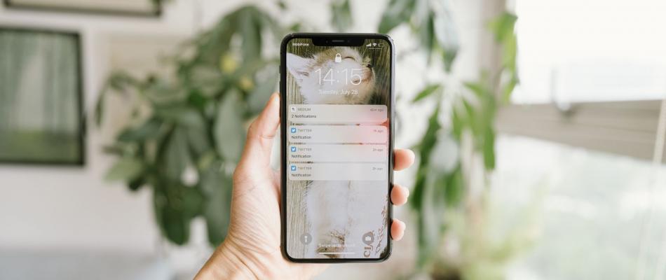 Smartphone mit Push-Benachrichtigungen in der Hand: Rauchmelder mit Handy-Alarm