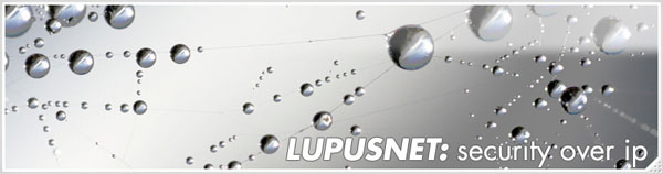 LUPUS-Nachtsichtkameras